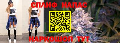 МДПВ Кинель