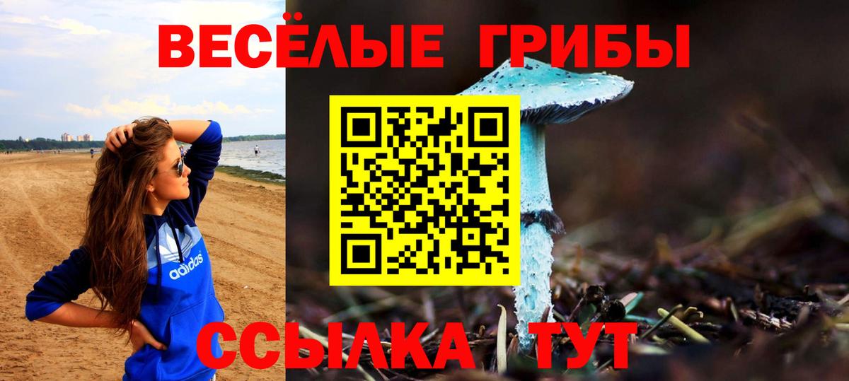 Галлюциногенные грибы GOLDEN TEACHER Комсомольск-на-Амуре