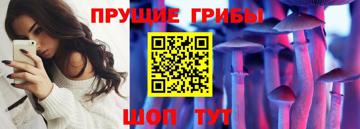 Псилоцибиновые грибы прущие грибы  купить наркотик  Комсомольск-на-Амуре  Вход с VPN 